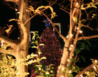 Christmas Wallpapers 190
